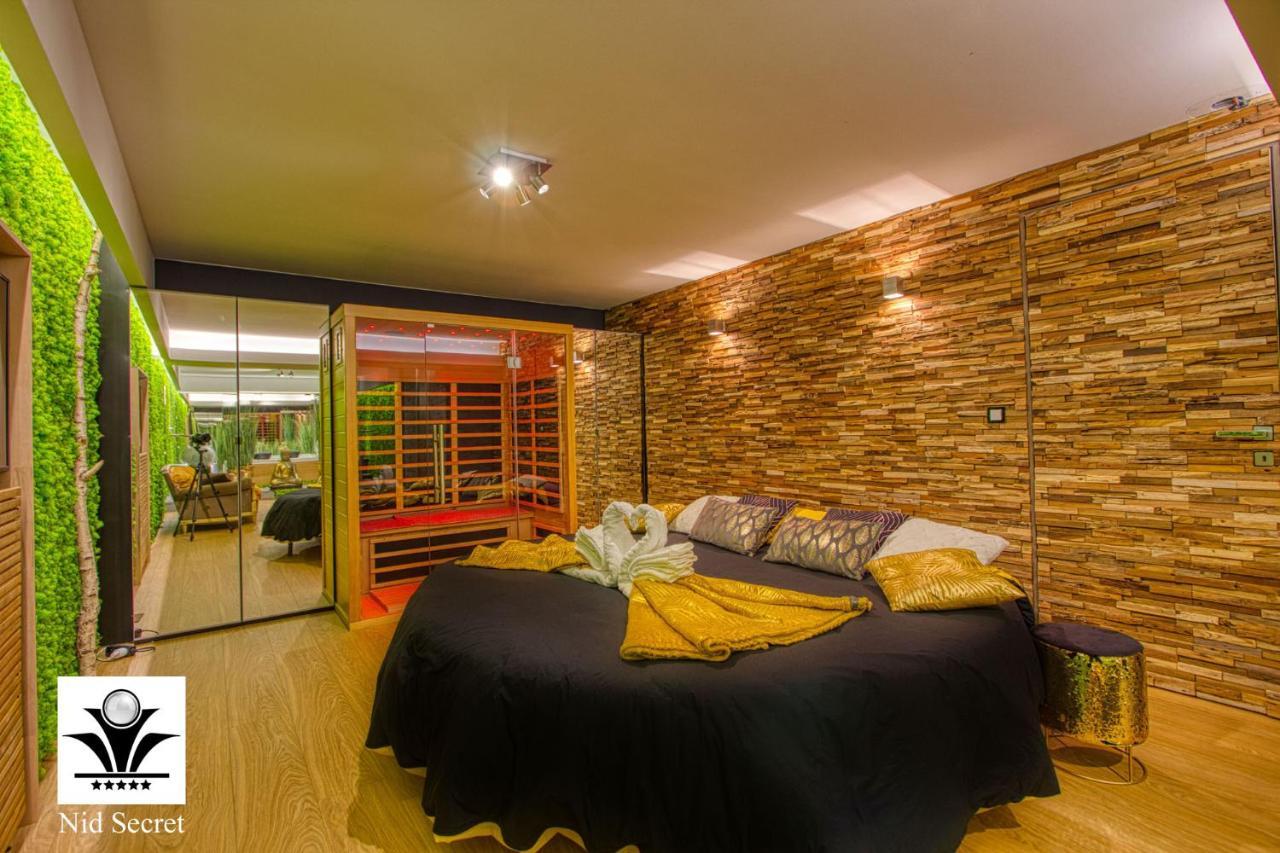 Panoramique 180 Lac Et Montagne Et Nid Secret Spa Romantique آنسي المظهر الخارجي الصورة