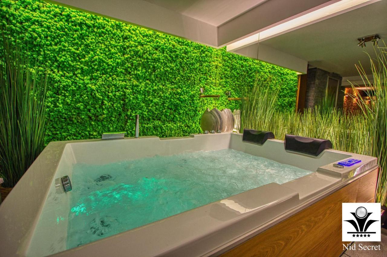 Panoramique 180 Lac Et Montagne Et Nid Secret Spa Romantique آنسي المظهر الخارجي الصورة