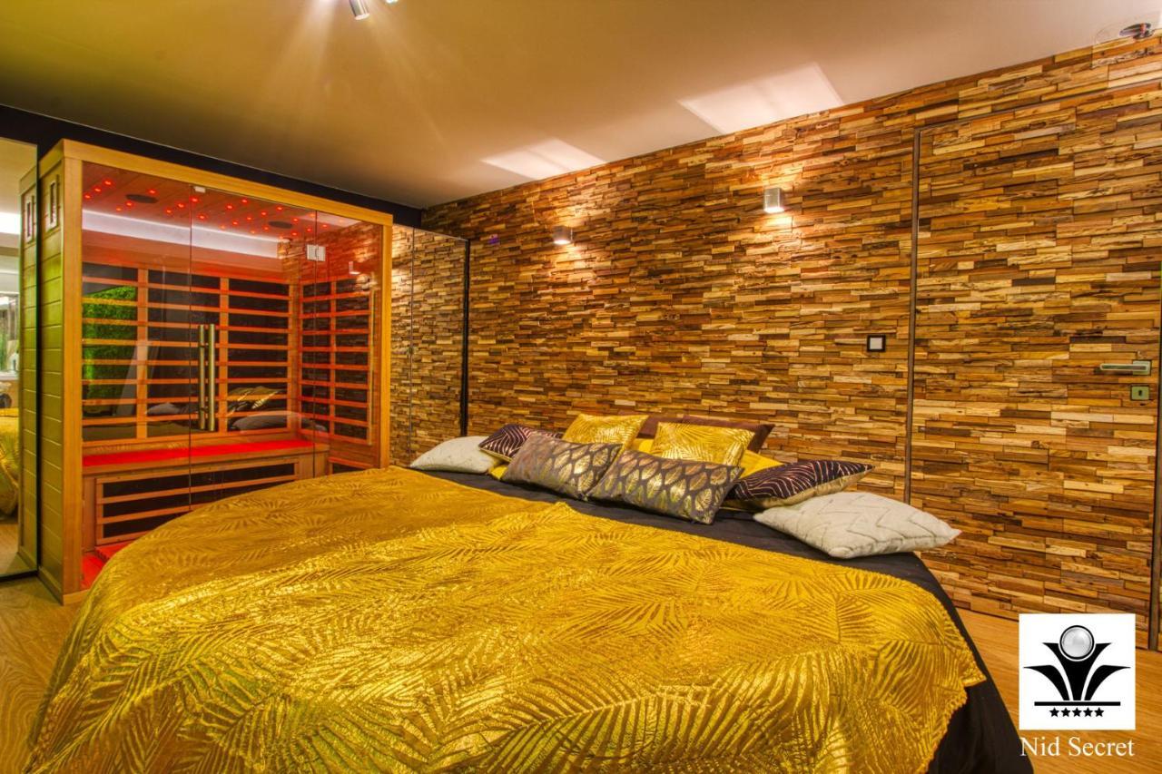 Panoramique 180 Lac Et Montagne Et Nid Secret Spa Romantique آنسي المظهر الخارجي الصورة