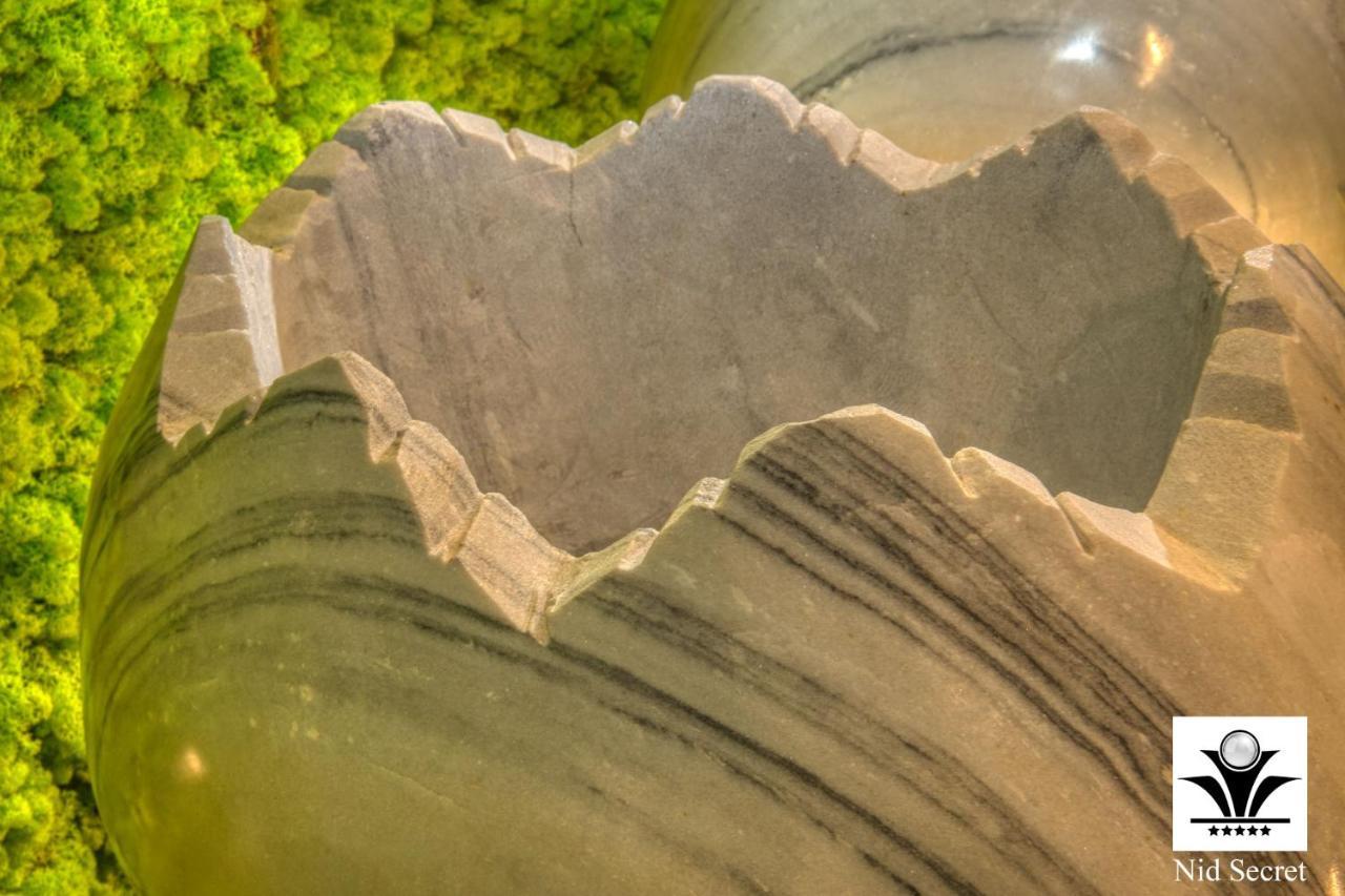 Panoramique 180 Lac Et Montagne Et Nid Secret Spa Romantique آنسي المظهر الخارجي الصورة
